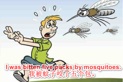 英语。我被蚊子咬了五个包 用英语怎么说