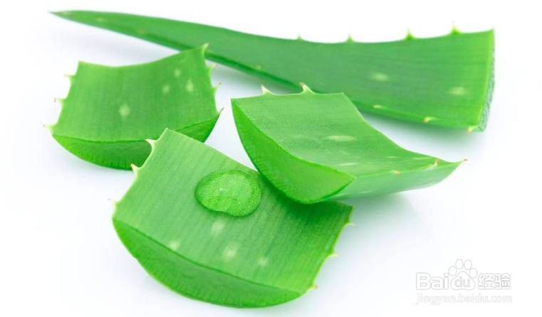 油炸芦荟做法大全