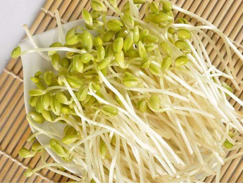 白色衣服上有黑色的霉点，用什么洗掉