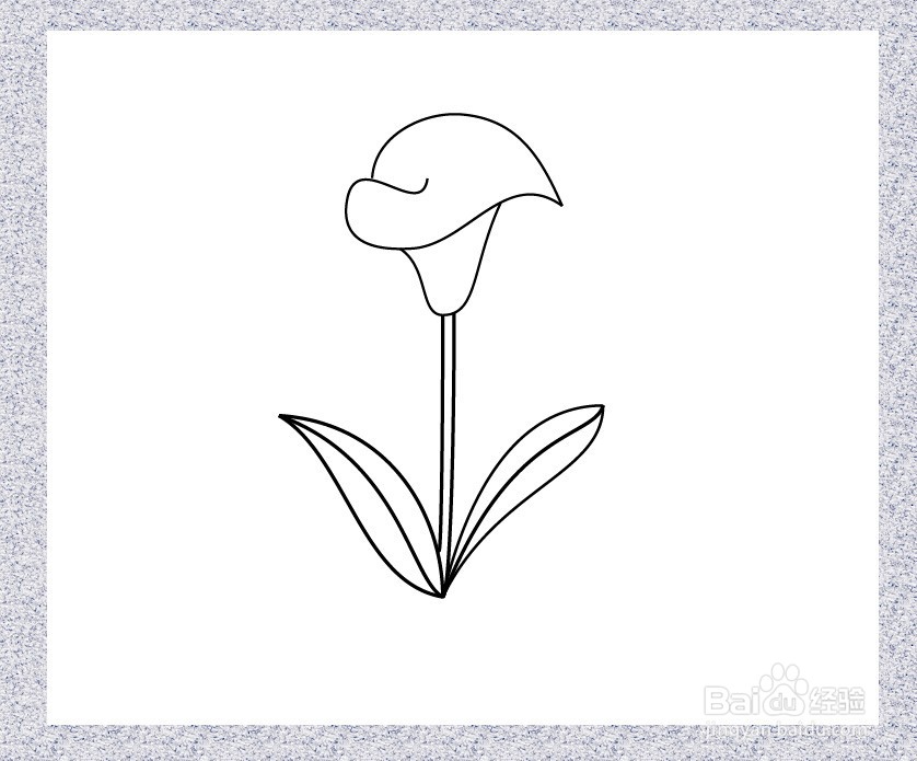 马蹄莲的简笔画怎么画
