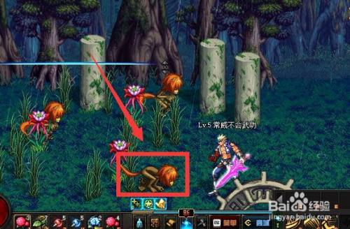 dnf幽暗密林猫妖任务怎么做