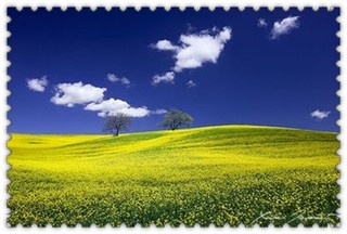 平凡人如何做成不平凡的事