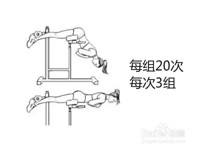 7天详细健身减肥计划