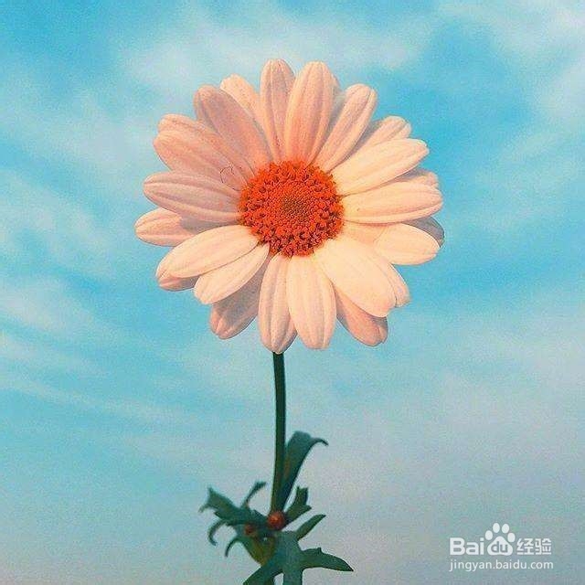 坐火车要注意哪些事