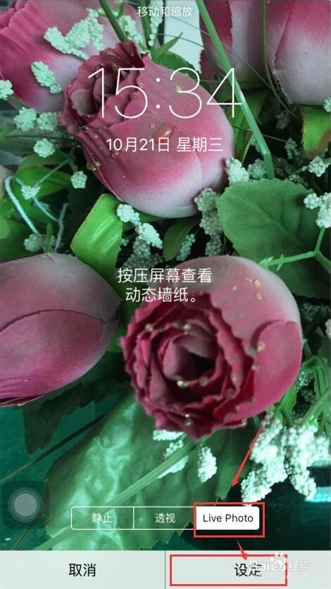 苹果6s怎么把动态照片设为桌面/手机屏幕