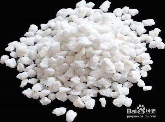 食蝇草怎么养护