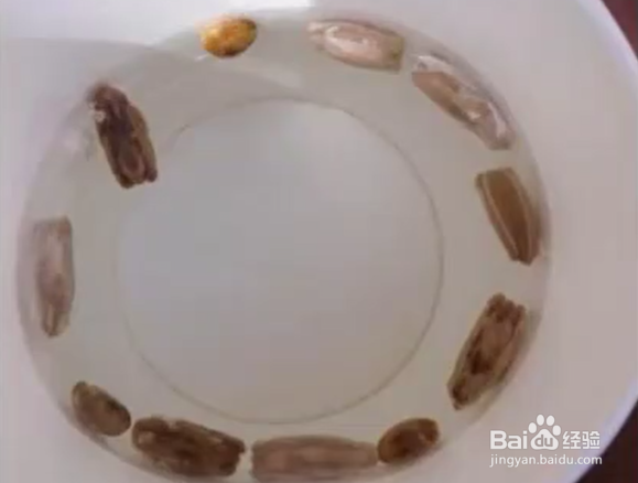 干葫芦籽怎么种植