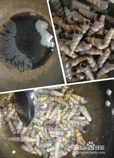 如何烹饪海螺