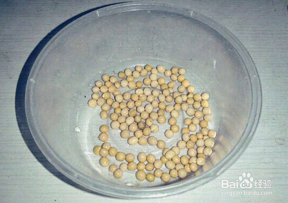 种子活力测定方法