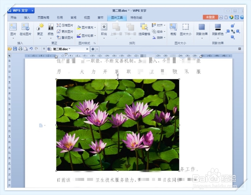Word 文档中怎样编辑图片