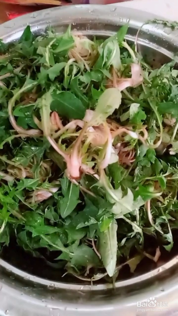 如何自制美味好吃的凉拌蒲公英