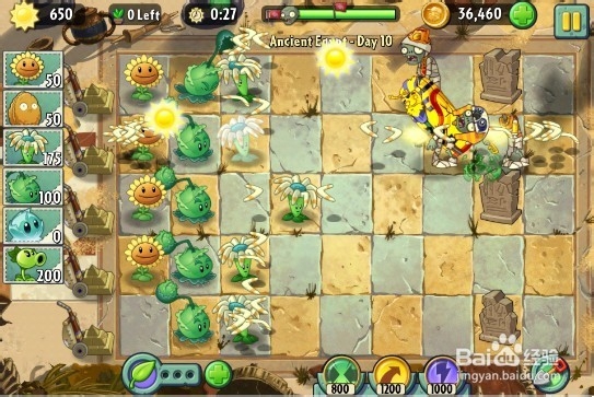 植物大战僵尸2（金字塔）第十关3星图文过关攻略