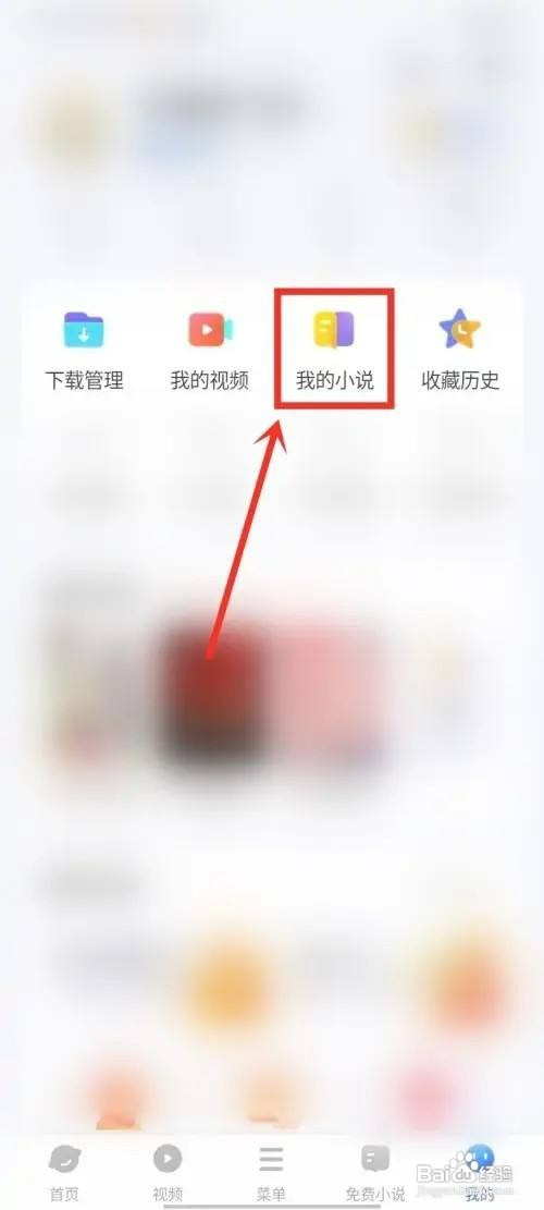 vivo浏览器小说如何才能查看浏览记录