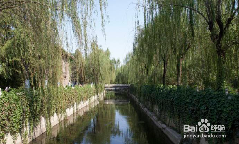 清华大学附近景点参观攻略