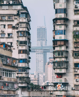 去重庆游玩的打卡景点