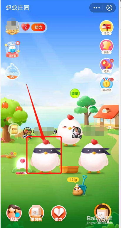 蚂蚁庄园怎么揍别人小鸡