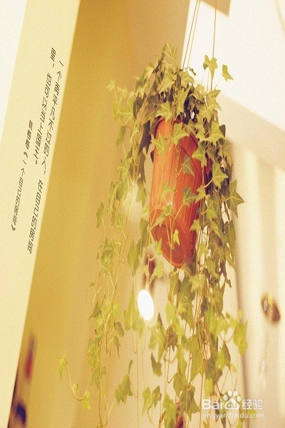 当导游你有什么秘籍？