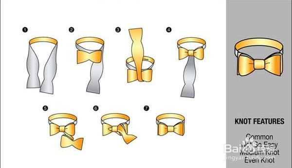 领带的系法图解