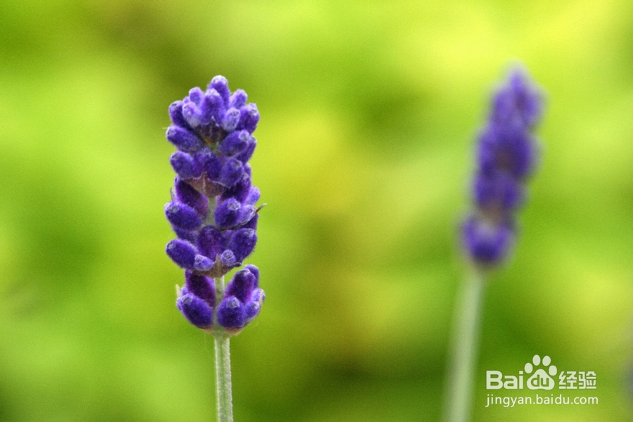 治冻疮，冻疮治疗