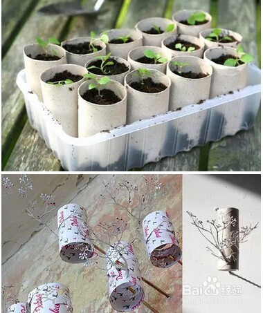 原来卷纸芯才是一卷纸里最值钱的！