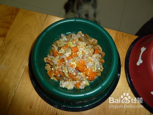 狗粮喂食狗狗需知