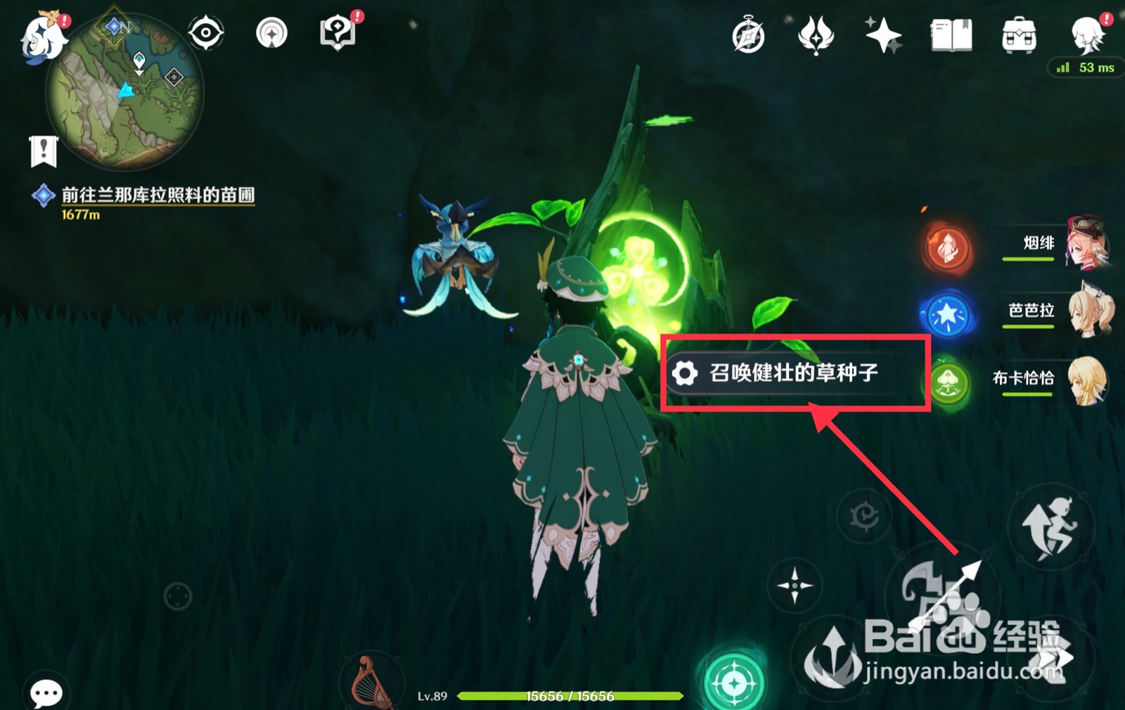 原神健壮的草种子有什么作用