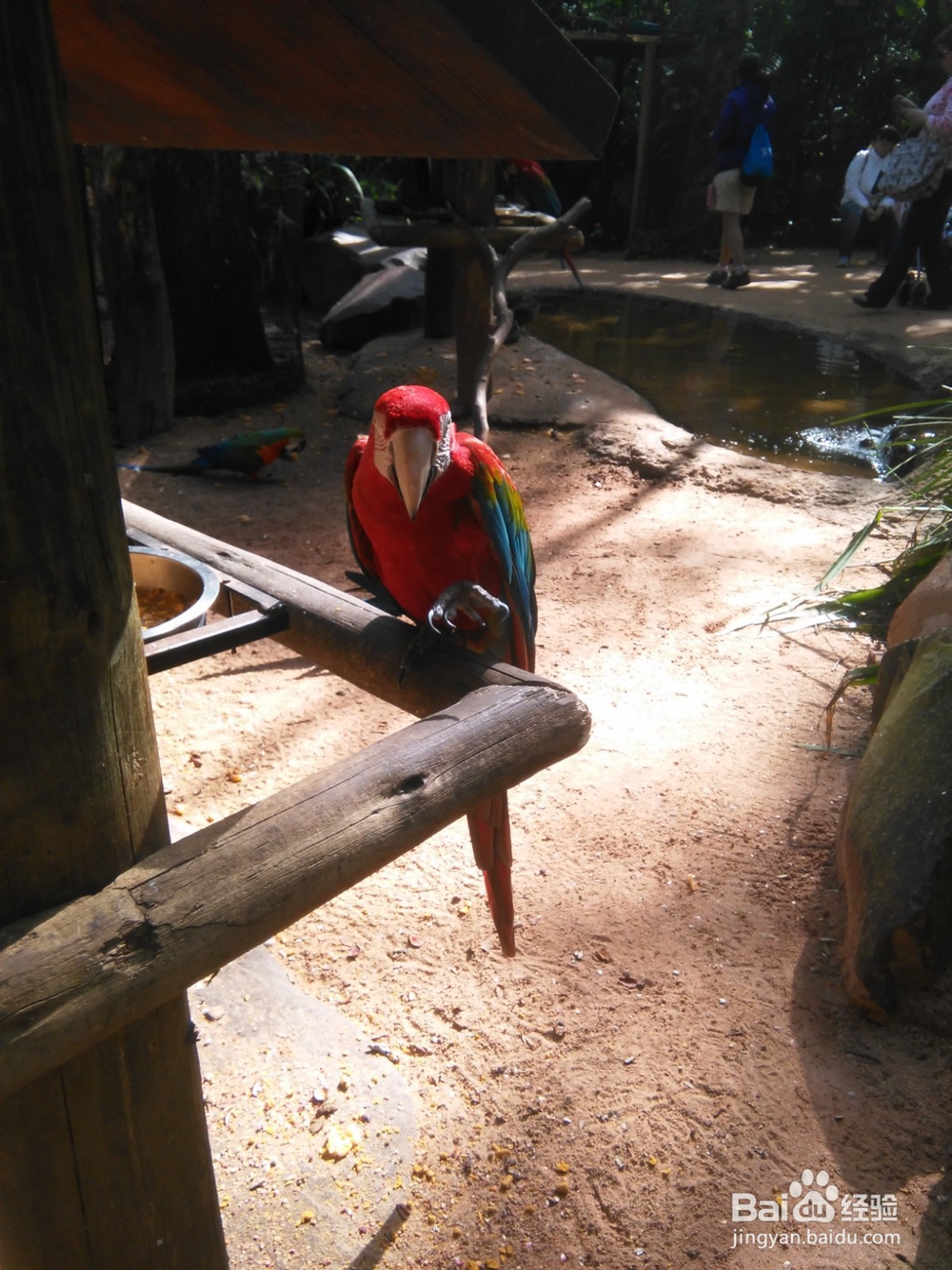 巴西主要景点旅游攻略