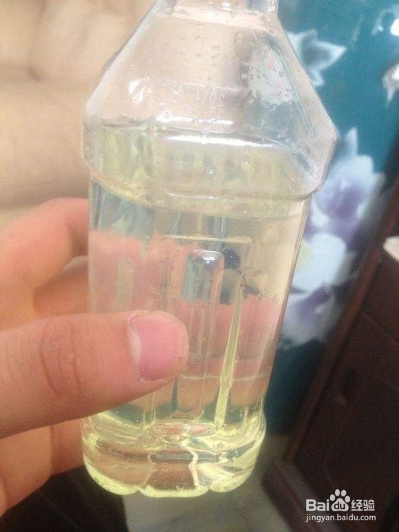 如何去除火鸡面的油污