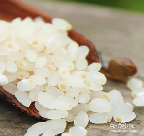 房间有老鼠怎么处理