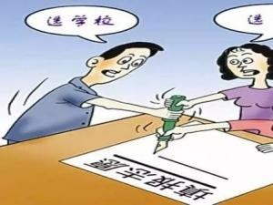 二三本合并怎么报志愿