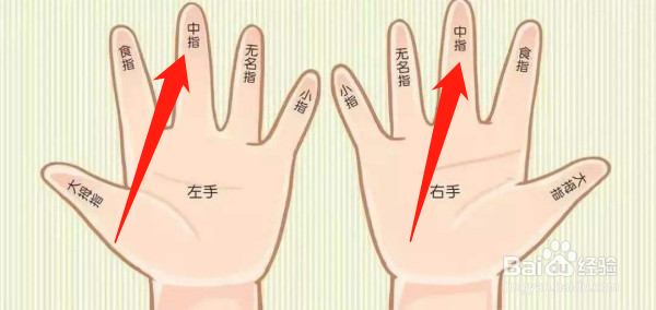 指腹和指尖的位置图图片