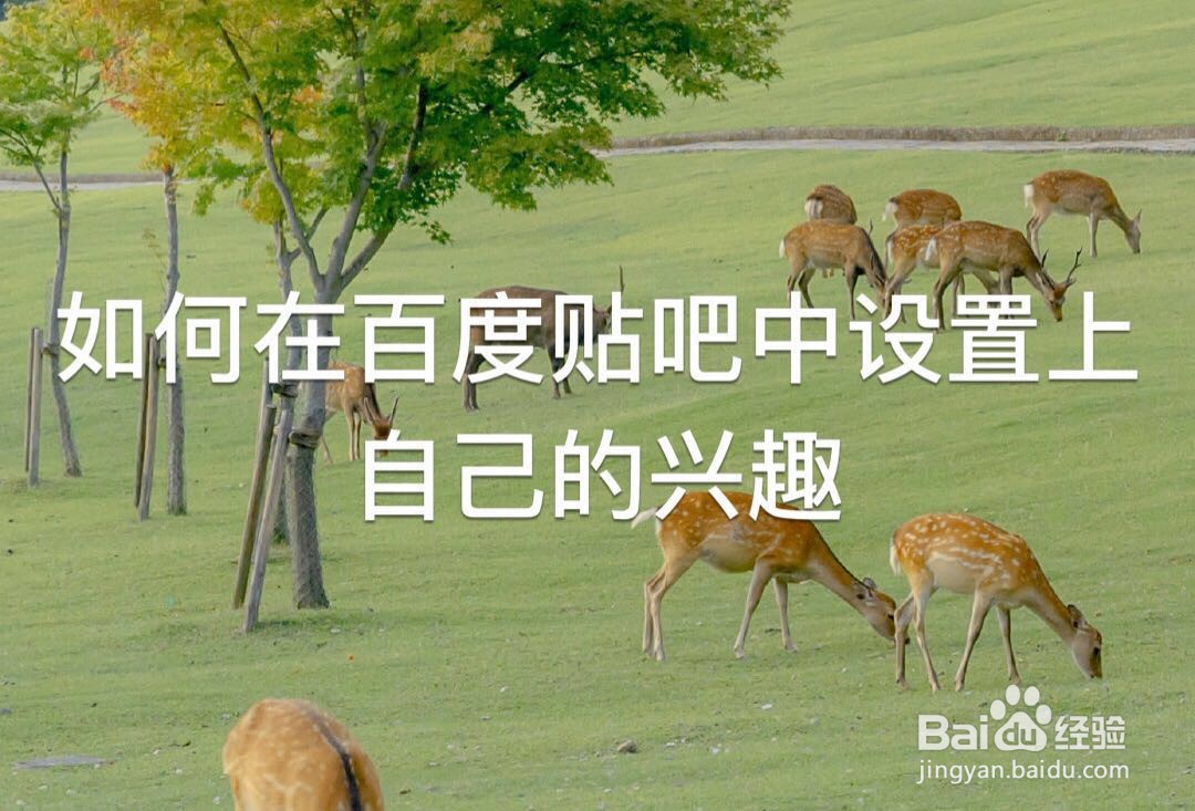 如何在百度贴吧中设置上自己的兴趣