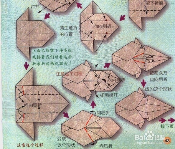星座折纸教程--狮子座