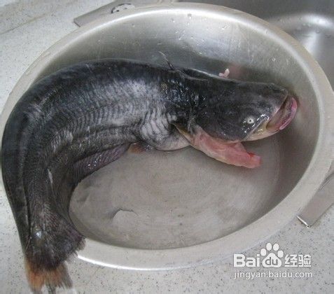 去除鱼腥味的方法大全