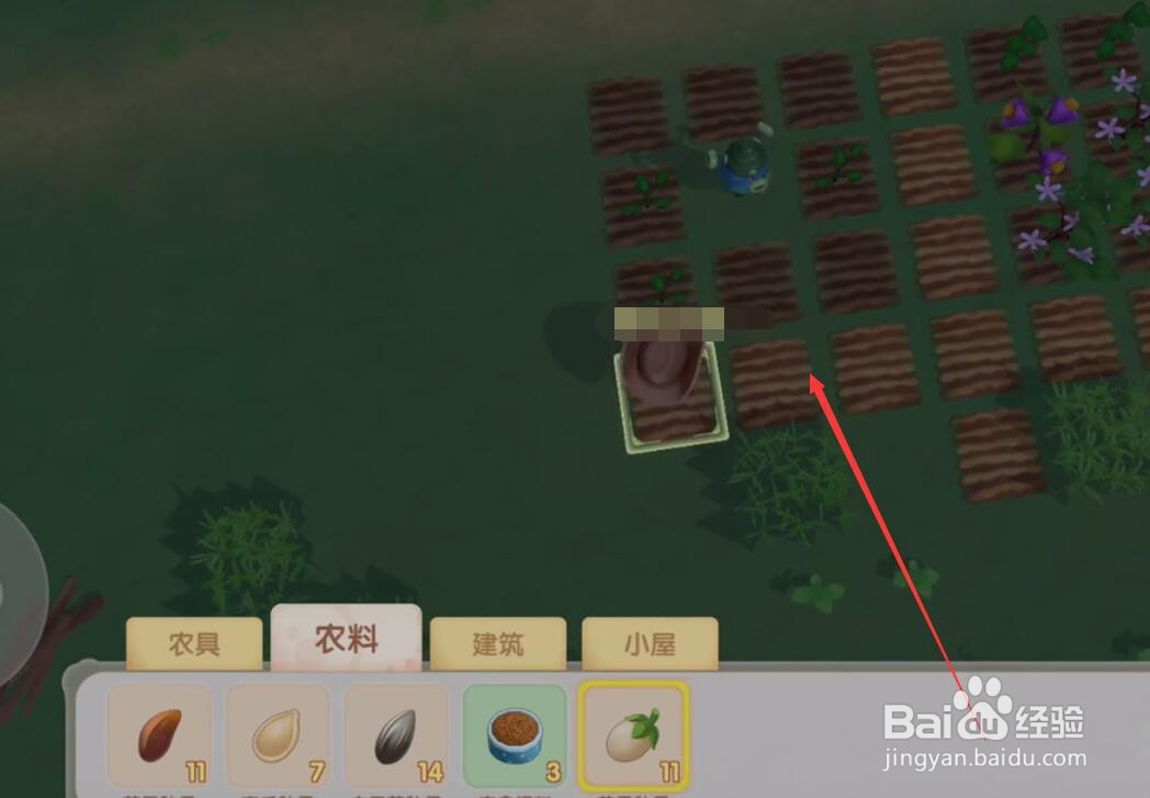 摩尔庄园手游怎么种菜