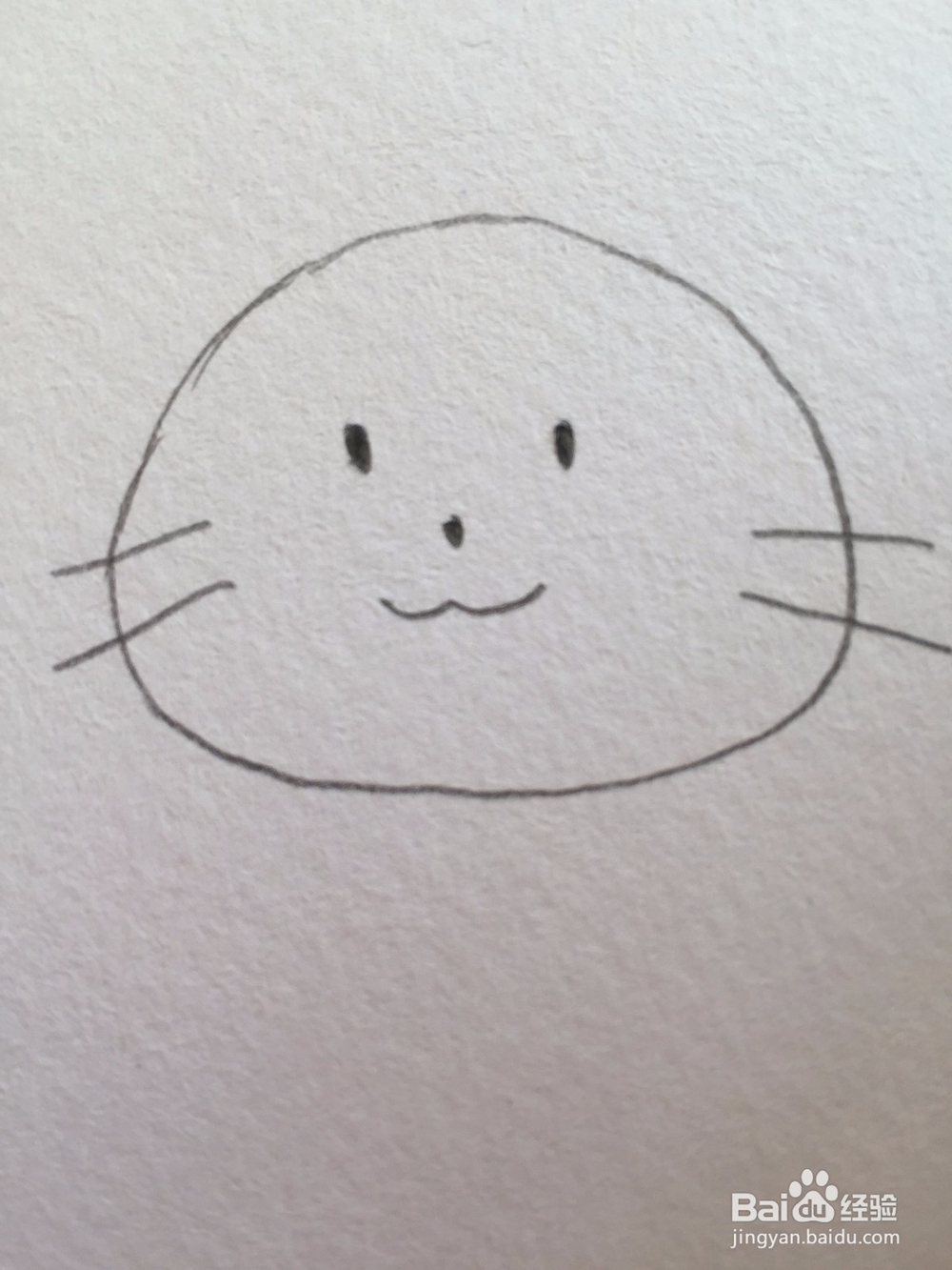 宝宝学动物简笔画
