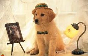 8个轻松拥有清新空气的好方法