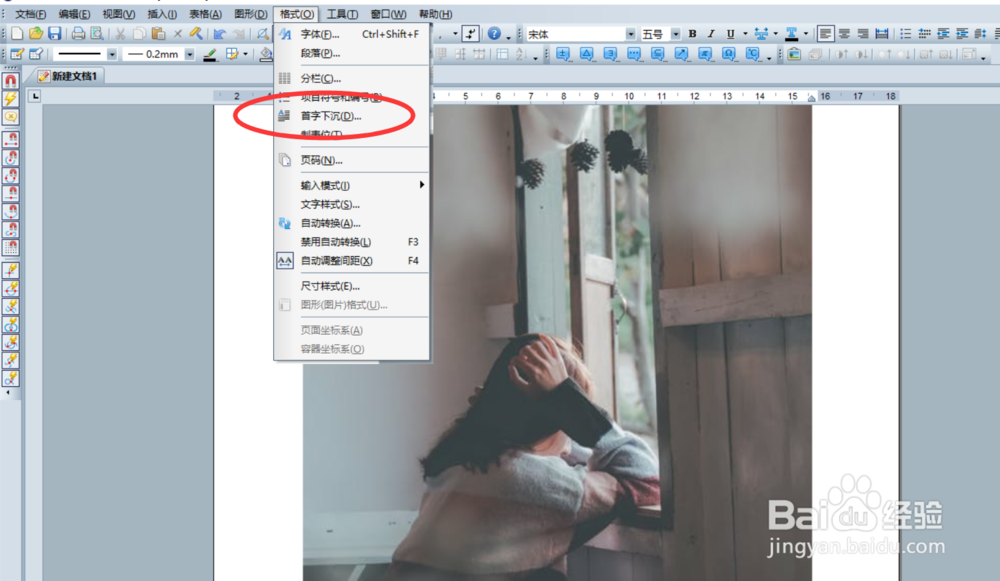 sofairsoft如何启用首字下沉功能