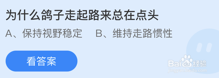 蚂蚁庄园：为什么鸽子走起路来总在点头