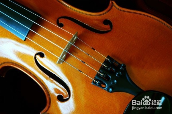 小提琴好学吗?