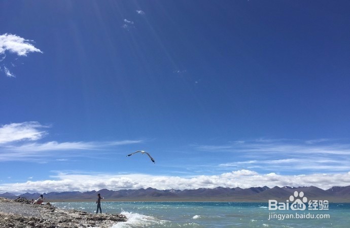 纳木错，腾格里海，天湖尽景观特色