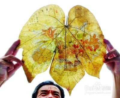 写百度经验有感