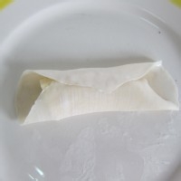我的青春*我的梦 之：[21]弧形星桥