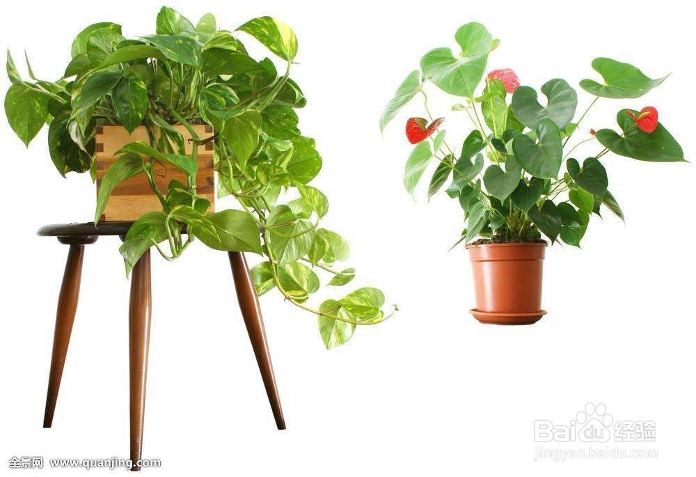 室内装修污染如何治理这6招一定会帮到你