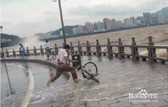 台风来了要注意哪些