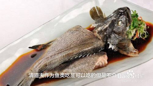 清道夫鱼为什么不能吃