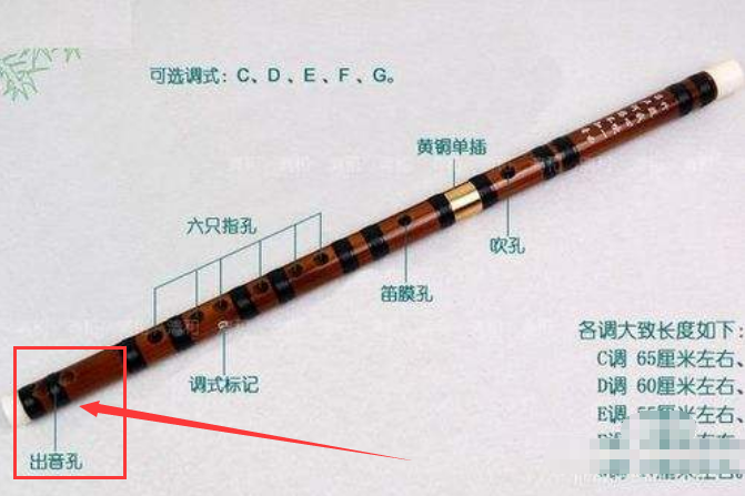 笛子后出音孔有几个，分别在哪里