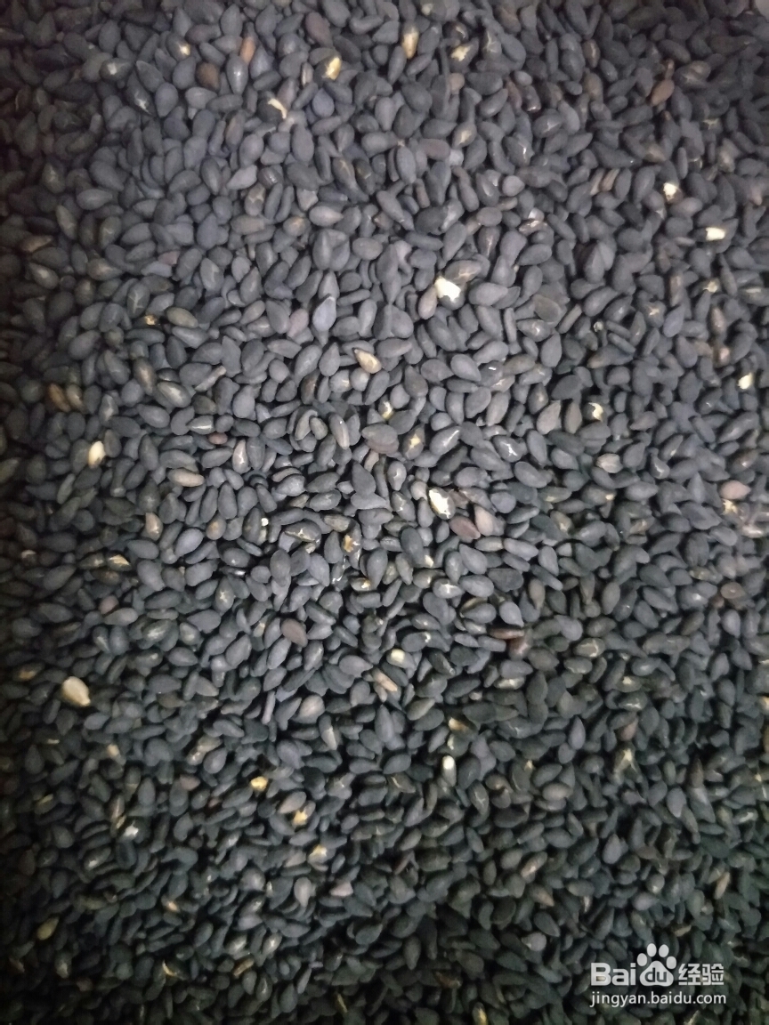 适合懒人做的黑芝麻刀切馒头