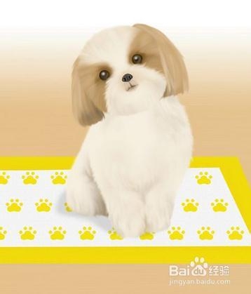 你知道物质转运有哪些吗：[1]被动运输