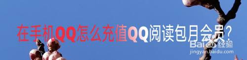 在手机QQ怎么充值QQ阅读包月会员